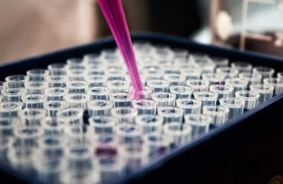 Chemical Testing